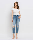 Hampton - High Rise Distressed Cropped Straight Jeans