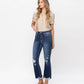 Left side product images of Decumaria - High Rise Crop Flare Jeans